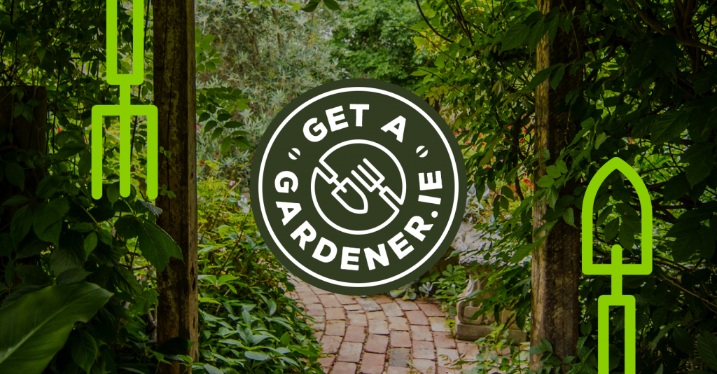 Get Your Garden Summer Ready Open and Ready for Action!